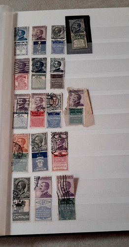 Francobolli regno 1924 serie - francobolli,